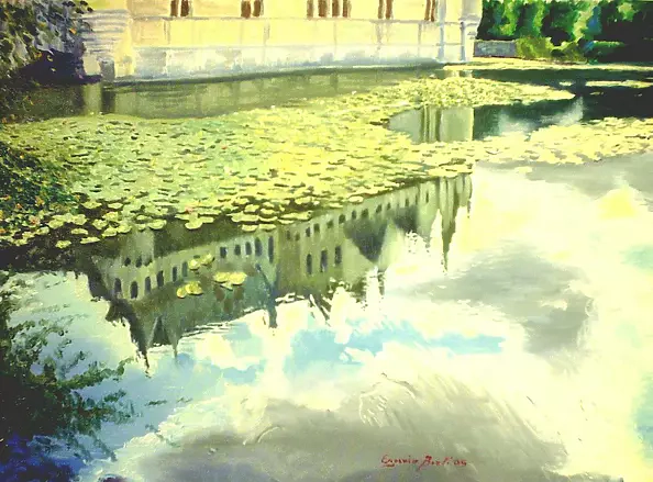 Eugenio Berti - Azay les rideaux…woda