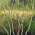 Dariusz Franciszek Różyc, ''BEHIND THE BIRCHES'' cykl ''Brzozy'', Obraz akrylowy - płótno, 29 x 40