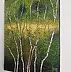 Dariusz Franciszek Różyc, ''BEHIND THE BIRCHES'' cykl ''Brzozy'', Obraz akrylowy - płótno, 29 x 40