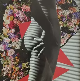 Paulina Matejko - BODY