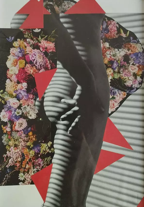 Paulina Matejko - BODY