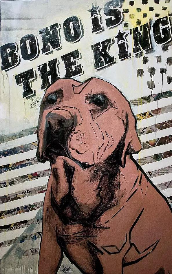 Marcin Błąkała - BONO is THE KING