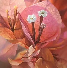 Maria Gruza, Бугенвиллея, Пастель - картон/цупкий картон, 49 x 64