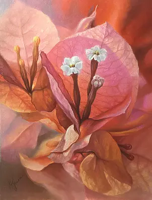 Maria Gruza - Bougainvillea