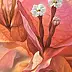 Maria Gruza - Bougainvillea