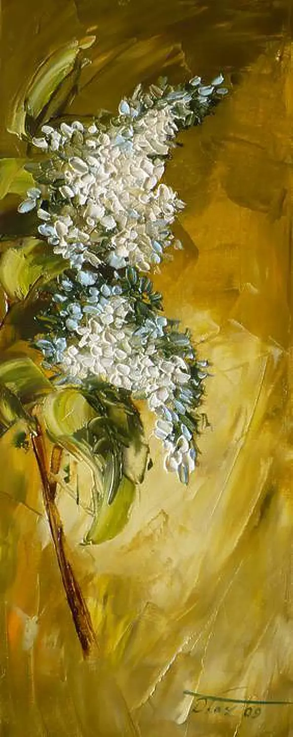 Dorota Łaz - lilacs