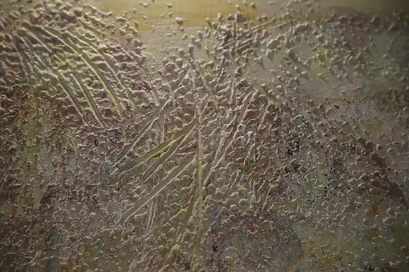 Aldona Zając - Babie lato