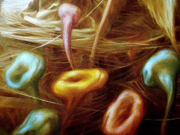 Maria Gruza - Indian summer