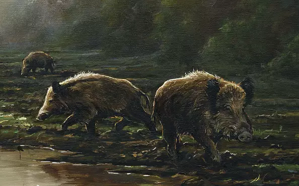 Michał Nowakowski - Babrzysko