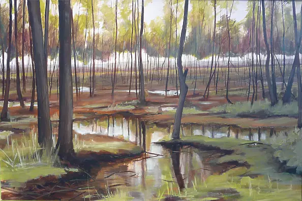 Piotr Prażmowski - Bagna