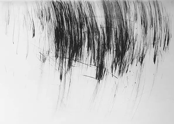 Piotr Kobrzyński - BagniskaIV