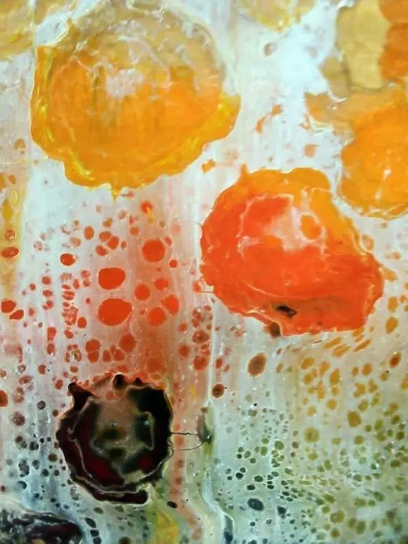 Sebastian Szczepański - Fairytale meadow