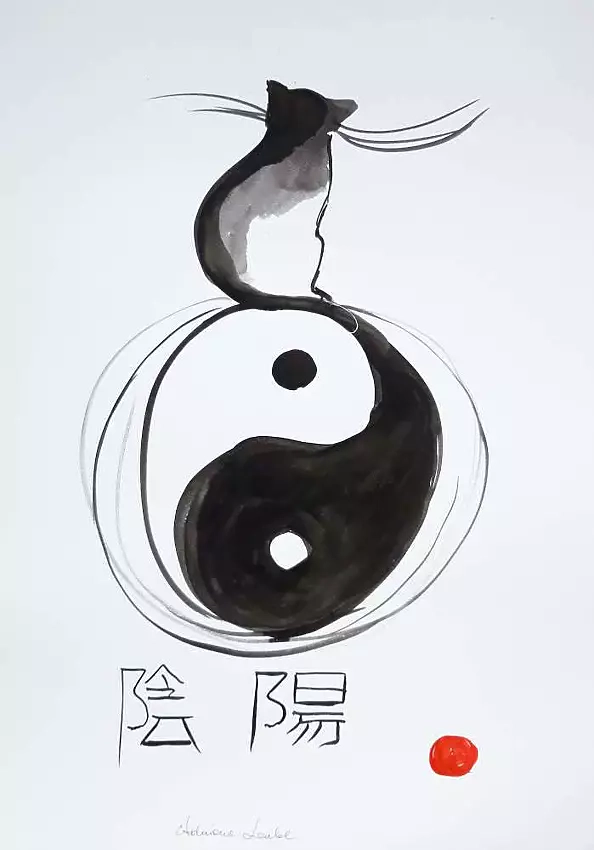 Adriana Laube - Balans z kotem