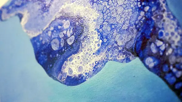 Izabela Olszyna - Balos