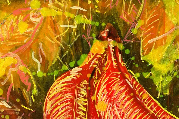 Mariusz Krzysztof Aniśko - Bananas