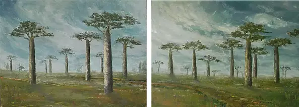 Danuta Zgoł - Baobabs (dyptique)
