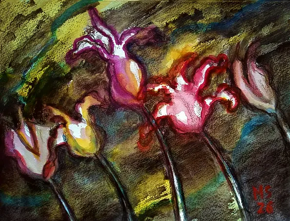 Marzena Salwowska - So Very Sanguine Tulips