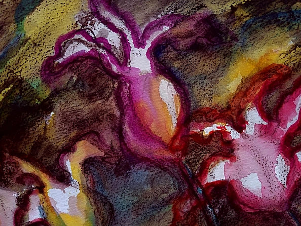 Marzena Salwowska - So Very Sanguine Tulips