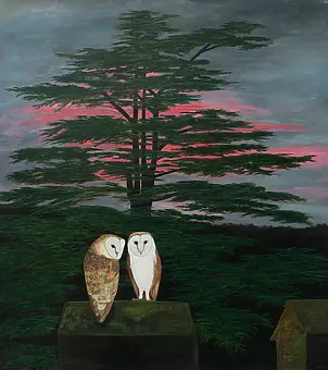 Robert Harris - Barn Owls on a Church Tower