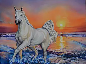 Zenon Gleń - Colors of the sea bath