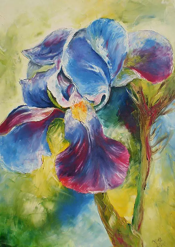 Izabela Łupińska - The colors of the rainbow