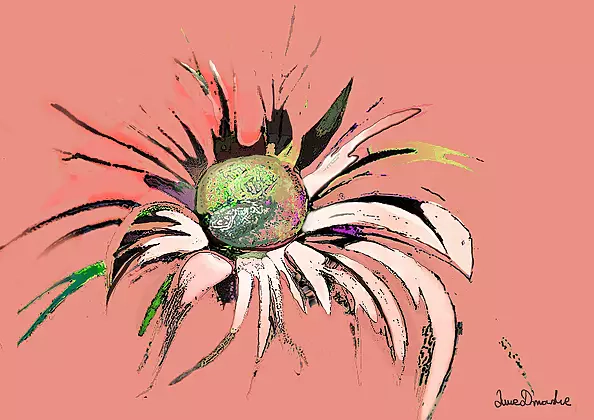 Anna Dmowska - "Baśniowy kwiat"