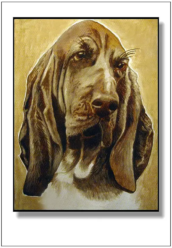 Jolanta Dusza - Basset