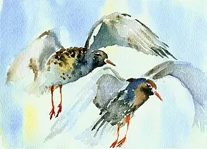 Zdzisław Rutkowski - Bataliony startują