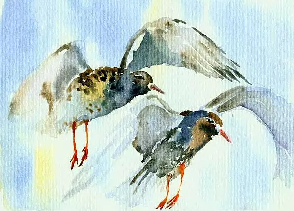 Zdzisław Rutkowski - Bataliony startują