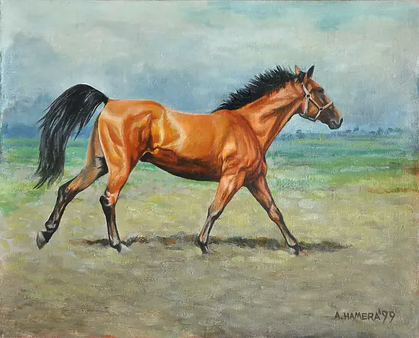 Andrzej Hamera - Bay with Racotu