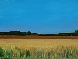 Paweł Cabanowski - Bayer field