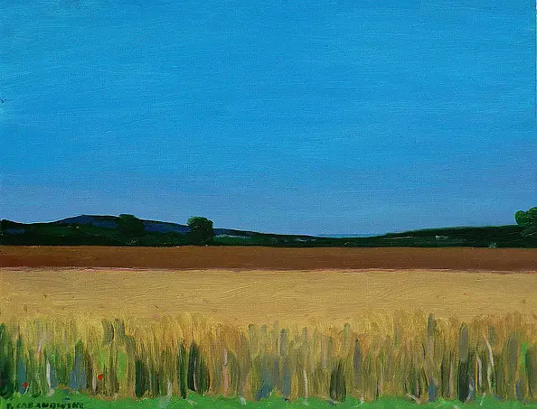 Paweł Cabanowski - Bayer field