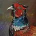 Damian Gierlach - pheasant