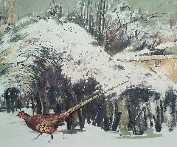 . FLORIAN - Bażant w ogrodzie