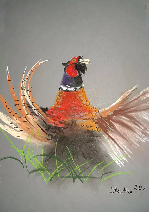 Zdzisław Rutkowski - Bażant