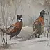 Danuta Drzewiecka - pheasants