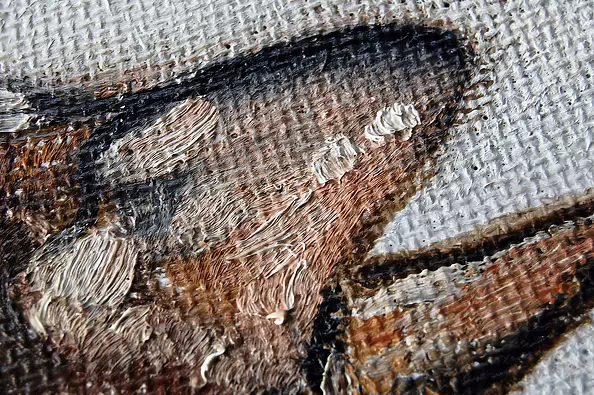 Amelia Augustyn - Bengal