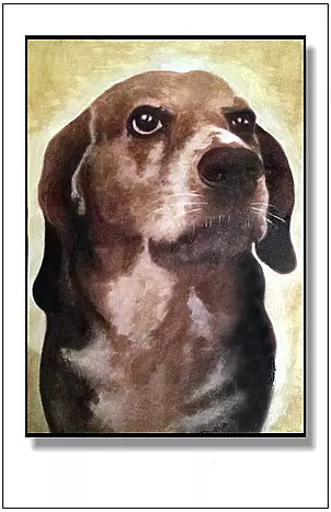 Jolanta Dusza - Beni2