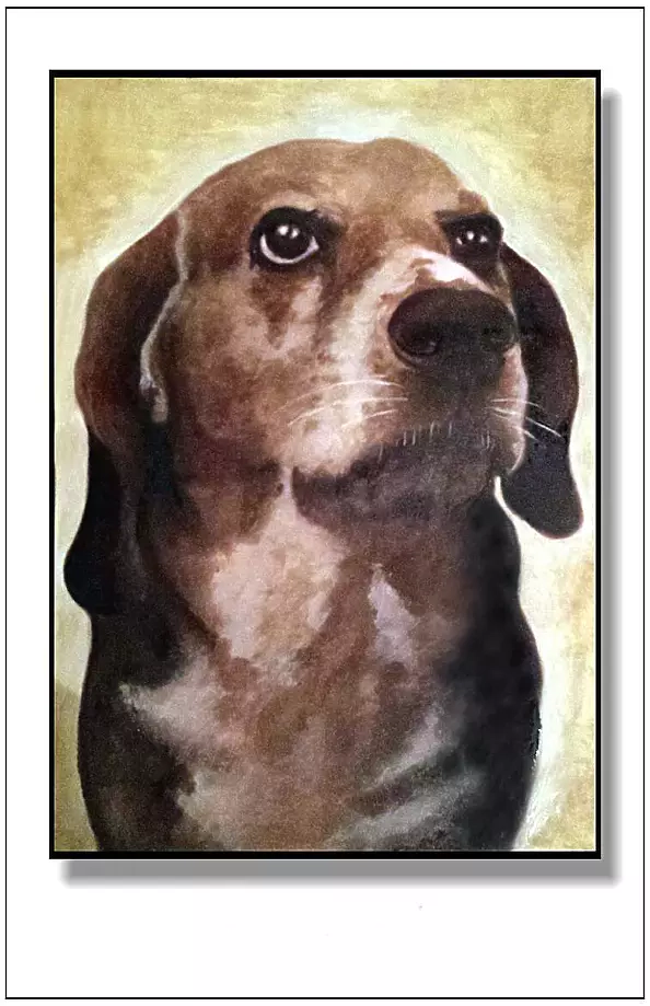 Jolanta Dusza - Beni2