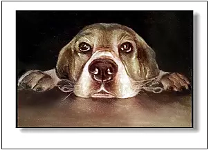 Jolanta Dusza - Beni