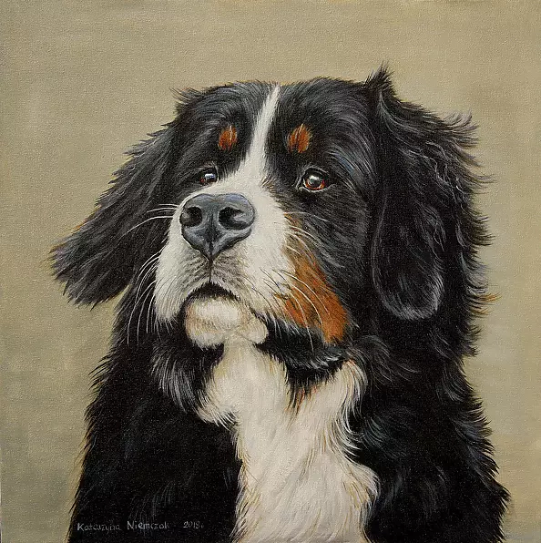 Katarzyna Niemczak - Bernese