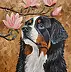 Agnieszka Mantaj, Berner Sennenhund und Magnolie, Acrylgemälde - Platte, 40 x 50
