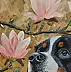 Agnieszka Mantaj, Berner Sennenhund und Magnolie, Acrylgemälde - Platte, 40 x 50
