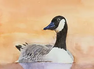 Zdzisław Rutkowski - Bernikla