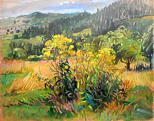   - Beskidy - Koszarawa