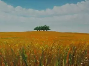   - Between the field and the sky