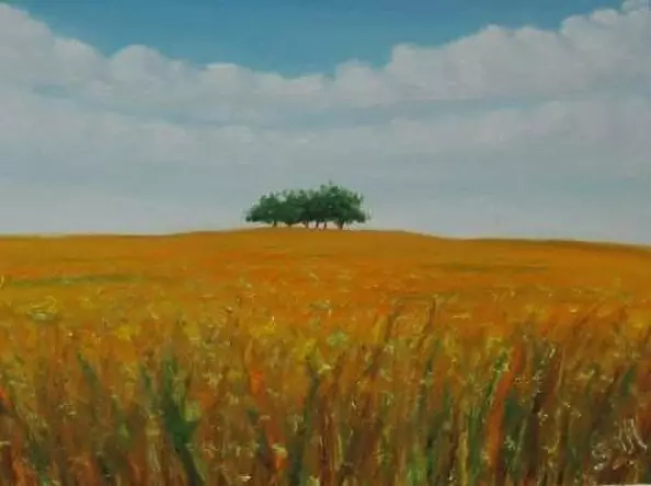 Mirko Serra - Between the field and the sky