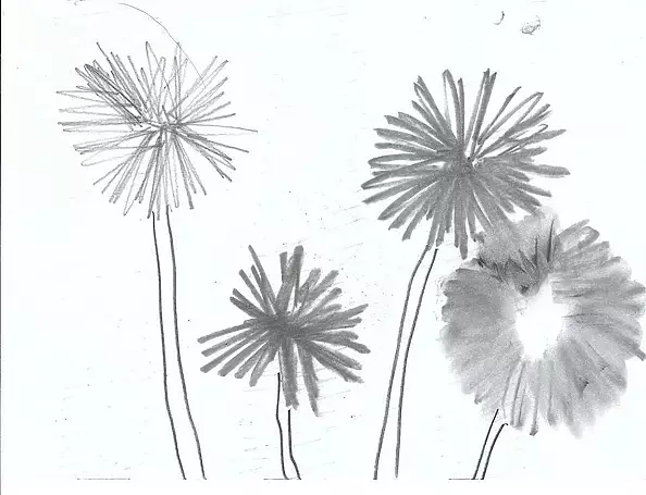 Szymon Wojtak - Without title