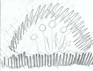 Szymon Wojtak - Bez Tytułu