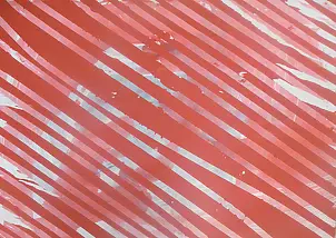 Szymon Wojtak - Bez Tytułu